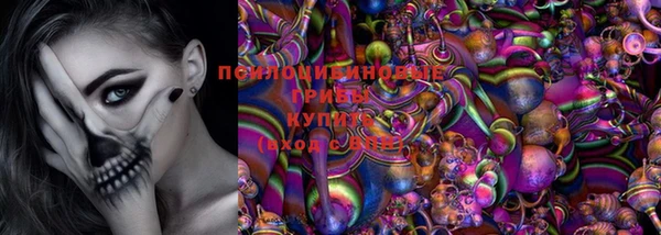 крисы Белокуриха