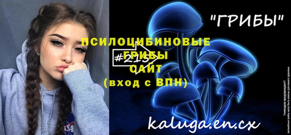гашик Вязьма