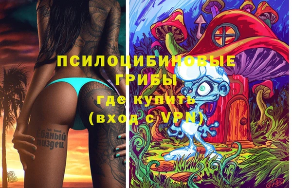 крисы Белокуриха