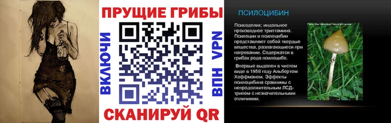 Псилоцибиновые грибы ЛСД Очёр